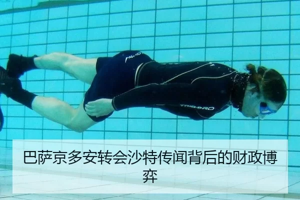 ba-sa-jing-duo-an-zhuan-hui-sha-te-chuan-wen-bei-hou-de-cai-zheng-bo-yi-3-355.jpg