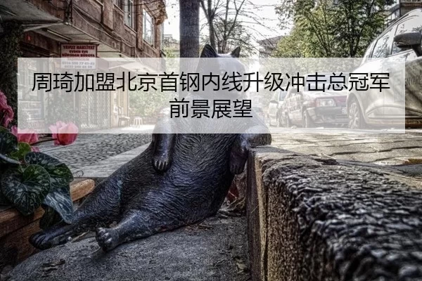 周琦加盟北京首钢内线升级冲击总冠军前景展望
