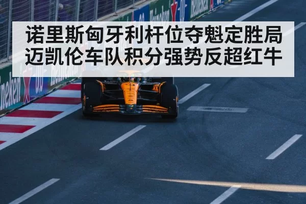 诺里斯匈牙利杆位夺魁定胜局 迈凯伦车队积分强势反超红牛