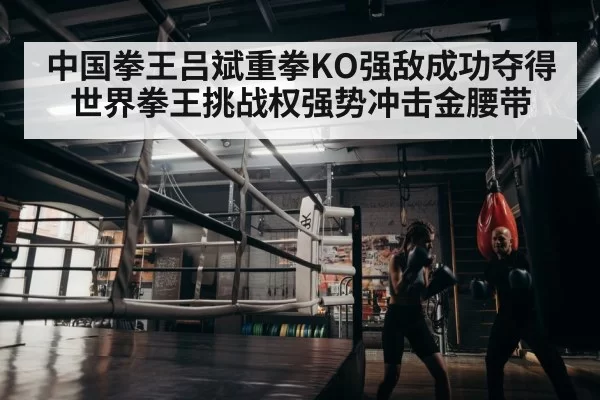 boxer training