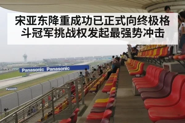 宋亚东降重成功已正式向终极格斗冠军挑战权发起最强势冲击